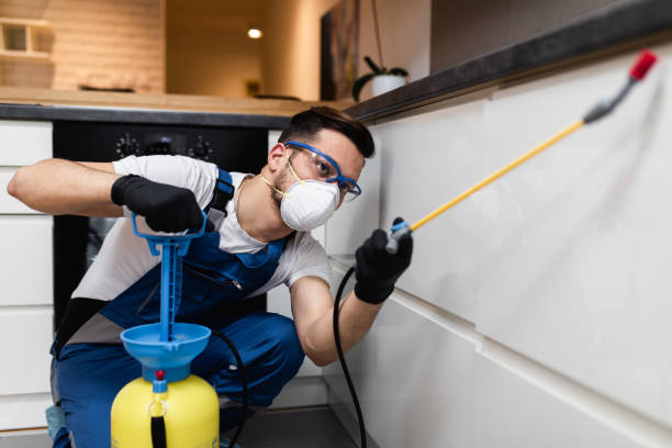 Best Cockroach Control Services  in Genesee, CO