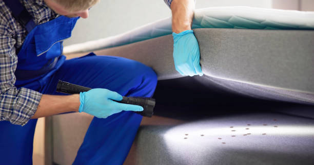 Best Pest Control Near Me in Genesee, CO