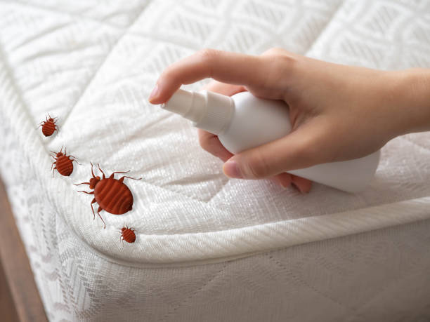 Best Best Pest Control Companies  in Genesee, CO